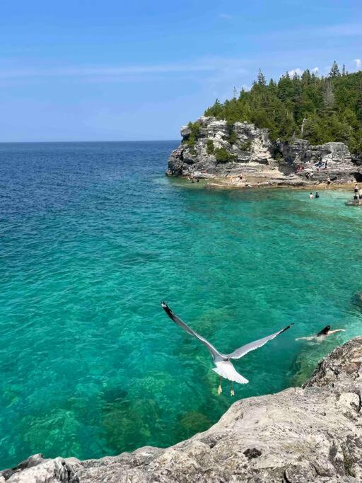 Tip-of-peninsula Lookout Tobermory