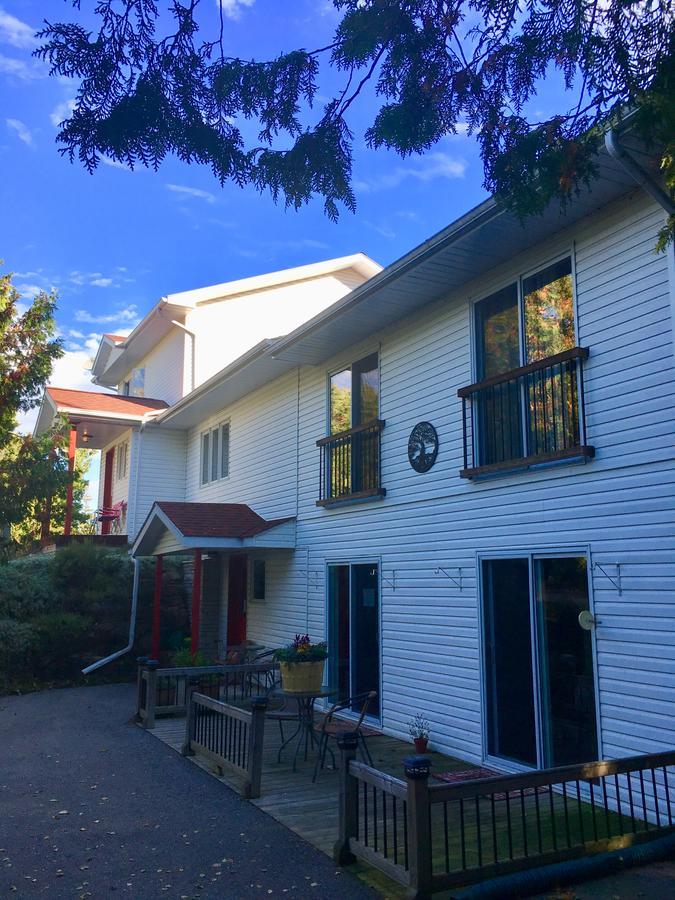 The Forest House - Adult Only Bed & Breakfast Tobermory