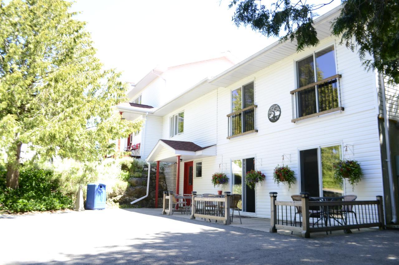 Bed & Breakfast The Forest House - Adult Only 3*