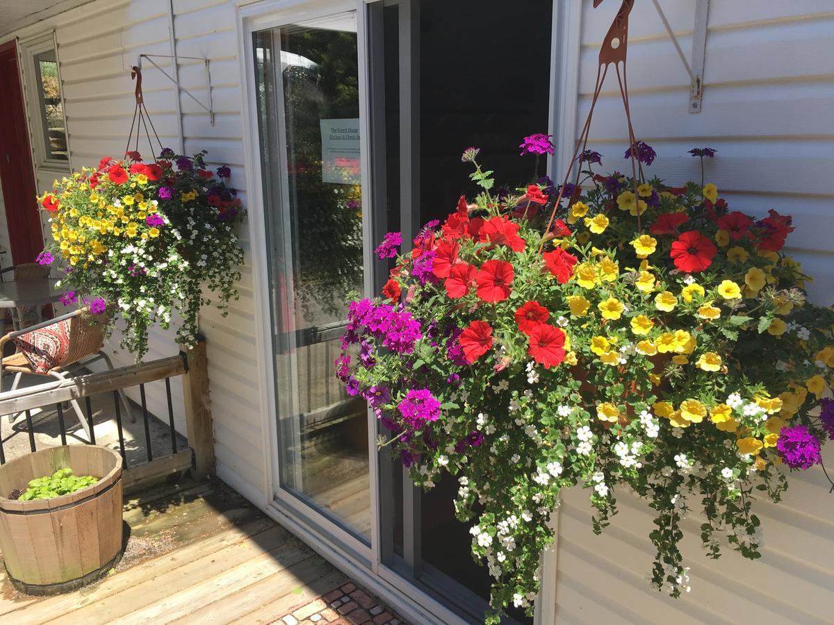 The Forest House - Adult Only Bed & Breakfast