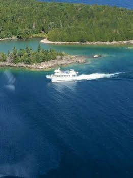 A Mermaid's Secret & Tobermory